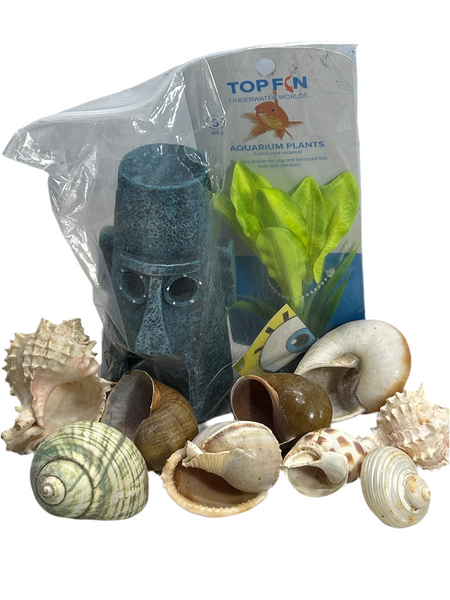 Lot of Hermit Crab Shells and Aquarium Decor