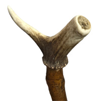 Handmade Wood Cane w/ Antler Handle 36"
